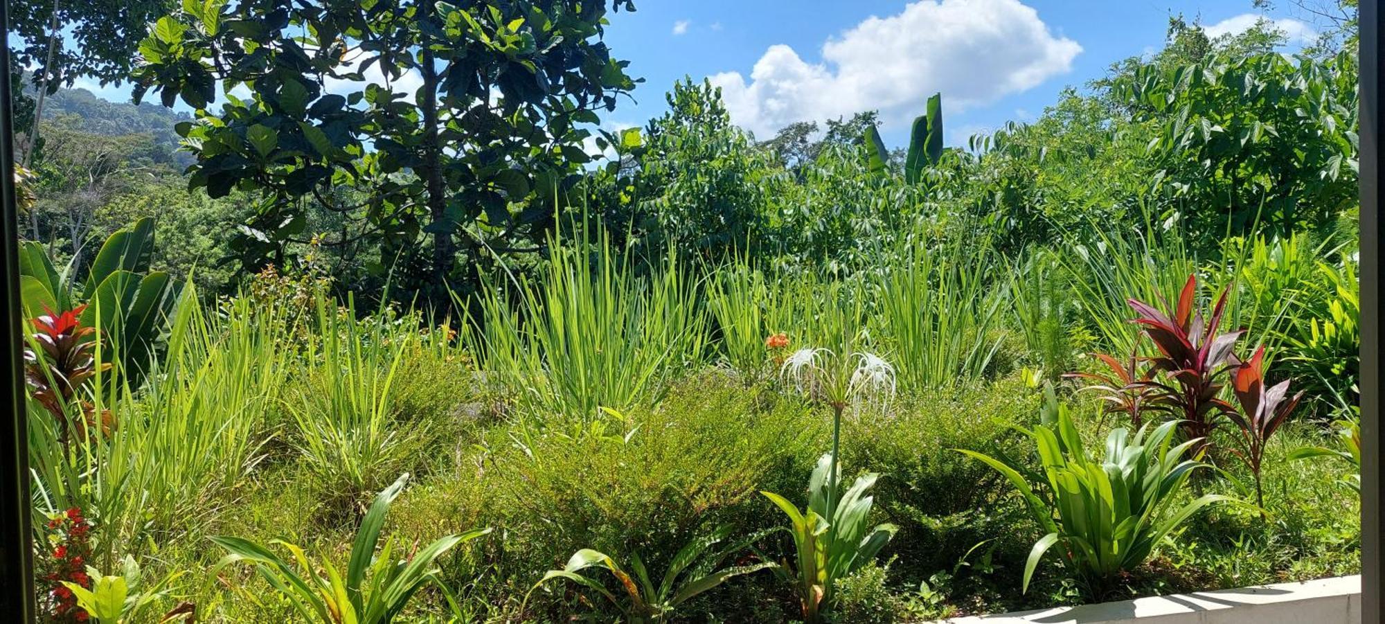 Graha Ayoe Villa Sidemen  Exterior photo