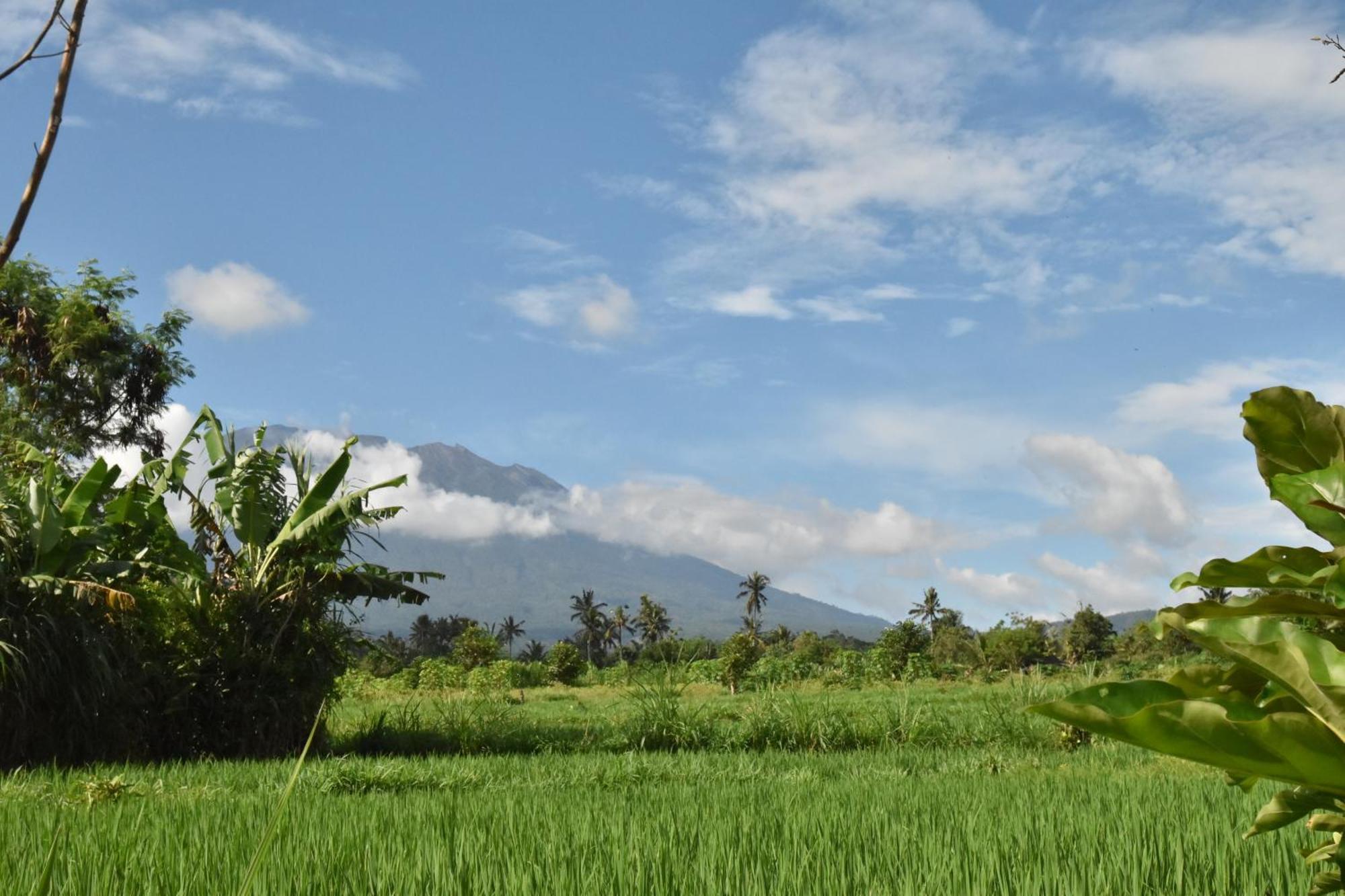 Graha Ayoe Villa Sidemen  Exterior photo